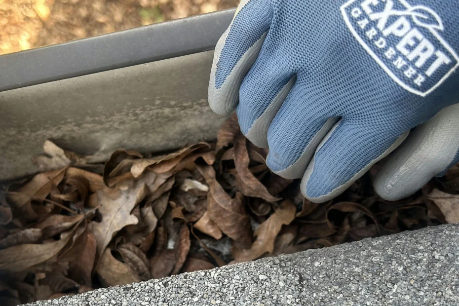 Gutter Cleaning Palm Bay FL