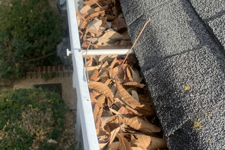 Gutter Cleaning Palm Bay FL